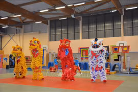 Vietnam promotes lion-dragon dance to the world