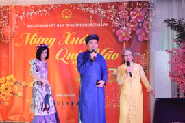 Overseas Vietnamese in Netherlands celebrate the Tet festival