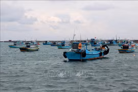 Binh Thuan province moves to end illegal fishing 