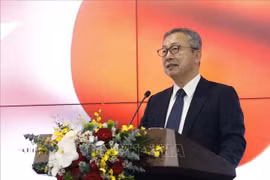 Japan-Vietnam relations contribute to global, regional peace, prosperity: Japanese Ambassador