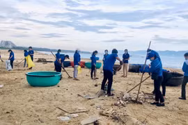 Ministry orders actions in response to World Cleanup Day 2023