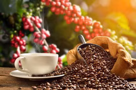 Businesses, farmers yet to benefit from recent coffee price hikes