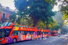 Hanoi’s double-decker buses run free trips for 6,681 passengers during holidays