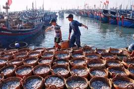 Tien Giang follows recommendations on the prevention of illegal fishing