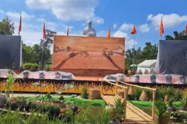 Soc Trang rice painting sets Vietnam record