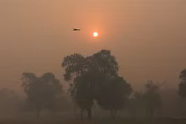 Indonesia works to prevent haze from spreading to Singapore
