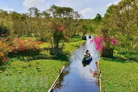 An Giang province works to establish itself as tourist magnet