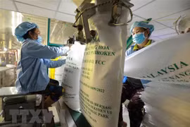 Vietnam’s rice exports surge on supply crunch
