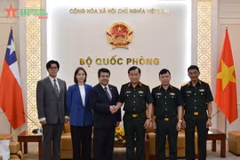 Vietnam treasures comprehensive partnership with Chile: officer