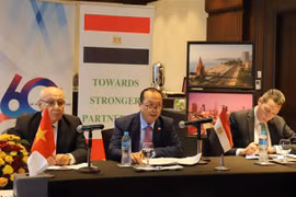 Vietnam, Egypt exchange experience in green finance attraction