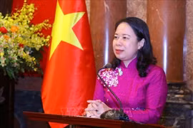 Vietnam - UAE cooperation to enter new development stage: ambassador