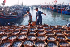 Binh Thuan strictly deals IUU fishing-related violations