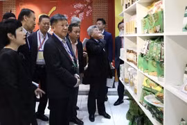 Vietnam emerges as attractive market for Singapore firms