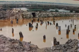 Bach Dang pile yard added to dossier seeking UNESCO recognition for Yen Tu complex