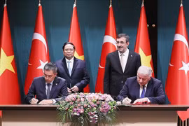Vietnamese, Turkish national flag carriers cooperate on goods transport