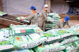 Australia likely not to impose anti-dumping duties on ammonium nitrate from Vietnam