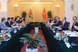 Potential for Vietnam - UK cooperation enormous: Ambassador