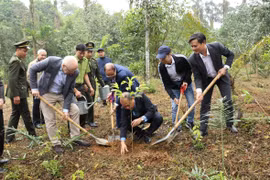 Tree planting marks 50th anniversary of Vietnam – Finland ties