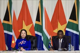 Vice State President holds talks with South African counterpart