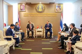 Vietnam, Thailand jointly fight human trafficking 