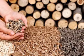 Bright future for wood pellet exports: experts