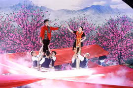 Lang Son province launches peach blossom festival to welcome Tet