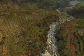 Ha Giang province ready to host first kapok flower festival