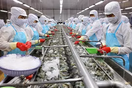 Export targets of key forestry and aquatic products lowered
