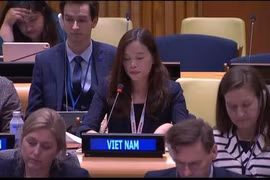 Vietnam calls for efforts to protect water infrastructure for civilians amid armed conflicts
