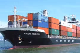High costs setback to green transition in maritime transportation