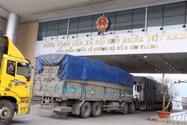 Businesses exporting medicinal herbs to China required to register