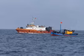 Quang Ngai province works to combat illegal fishing