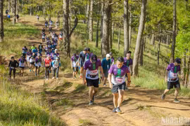 7,000 runners to join Dalat Ultra Trail 2023