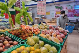 HCM City: purchasing power increases during National Day holiday