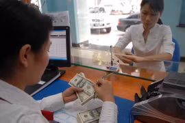 Exchange rate forecast to remain stable in second half of 2023