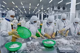 Shrimp summit 2023 seeks solutions to industry’s challenges