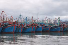 Vietnam Fisheries Trade Union raises fishermen's awarness on combatting IUU fishing