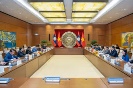 Vietnamese, Lao legislatures consolidate close ties