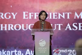 Indonesia needs 200 bln USD for sustainable development: Minister