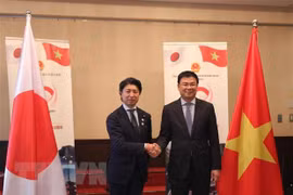 Vietnam Festival in Japan to be held in June 