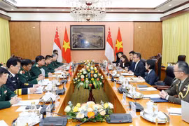 Vietnam, Singapore hold 14th defence policy dialogue