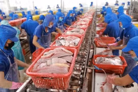 Fisheries sector takes advantage of market opportunities to well recover