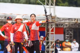 Vietnam attends World Archery Championship in Germany