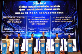 Vietnamese, Chinese firms seal 21 deals across sectors