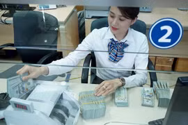 Reference exchange rate up 4 VND at week’s beginning