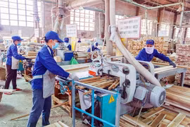 Wood enterprises step up trade promotion due to lack of orders