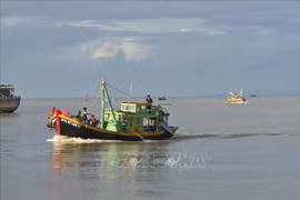 Binh Thuan authorities to inspect enterprises exporting aquatic products to EU