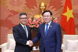 Vietnam promotes cooperation with Indonesia, Iran