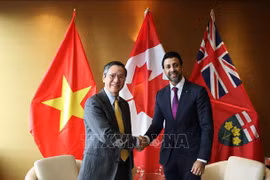 Vietnam holds important position in Canada’s Indo-Pacific Strategy: official