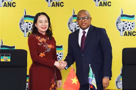Vice State President active in South Africa